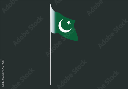 Pakistan flag. The official ratio. Flag icon. Standard color. Standard size. A rectangular flag. Computer illustration. Digital illustration. Vector illustratio    Illustration of the flag of Pakistan