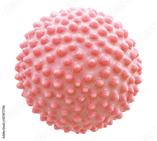 A pink sphere with many small dots on it