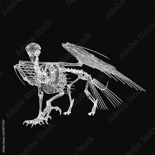 A white bird skeleton with intricate details stands out against a black background, wings spread wide and head slightly tilted. The stark contrast emphasizes the delicate bone structure and majestic.