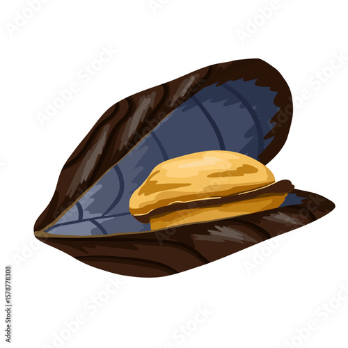 Mussel opened clam farmed for food. Hand drawn stylized vector seafood illustration isolated on white background. Mussel shell with edible delicious mollusk for print, sticker, menu