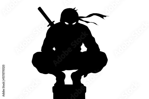 Silhouette of a Ninja in a Crouched Position