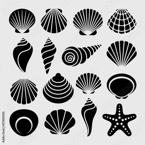 A collection of vector silhouettes depicting various seashells and a starfish, arranged on a light gray background.