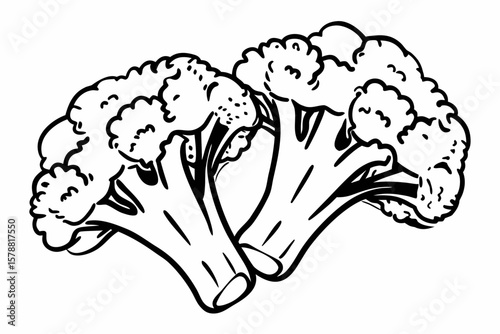 Two broccoli florets in a simple black and white line drawing