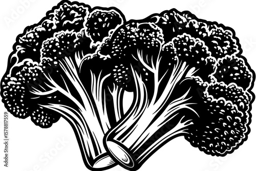 Two broccoli florets in a bold black and white silhouette drawing