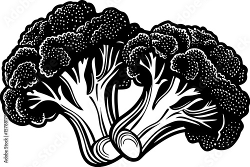 Two broccoli florets isolated on white background, ready for cooking