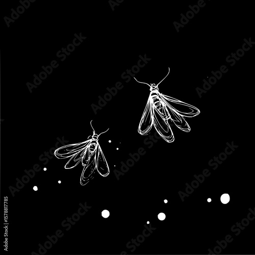 Two white moths with detailed wings flying in the dark night sky with scattered white dots around them