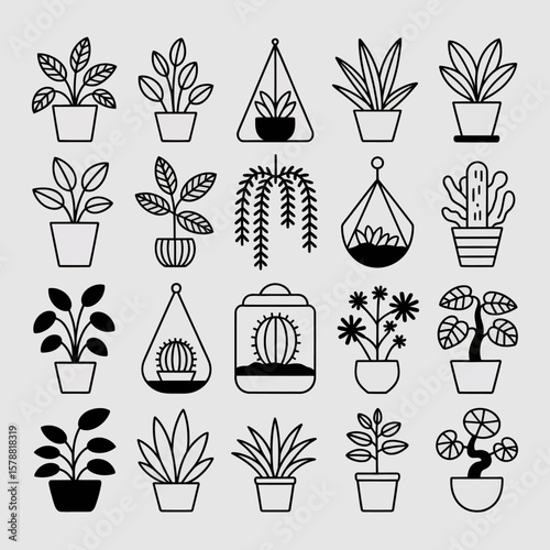 Collection of potted plants and hanging terrariums isolated on white background