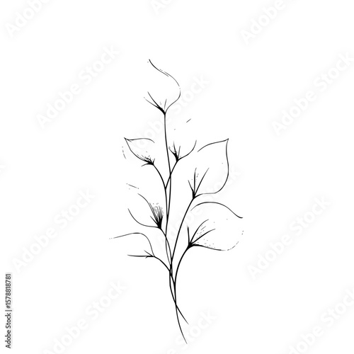 Delicate botanical illustration featuring a slender stem with stylized leaves in a minimalist style