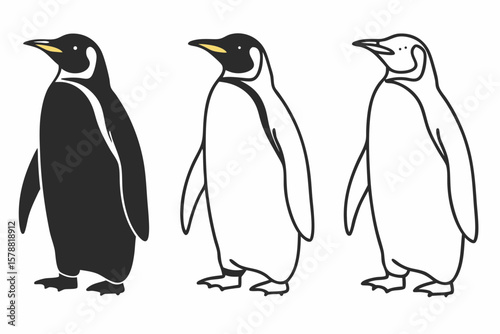 Three penguins stand side by side on a white background