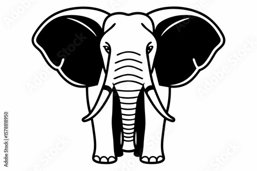 A full body elephant stands, isolated on white background