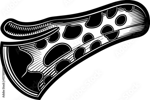 A slice of pepperoni pizza illustration, isolated on white background