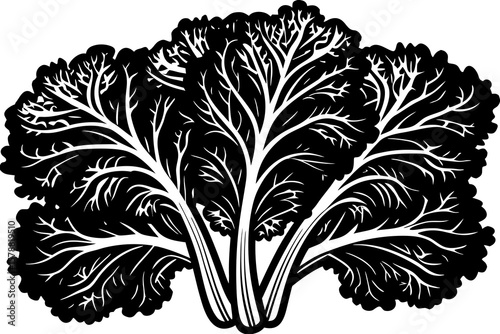 A bunch of mustard greens isolated on white background shows its leafy texture