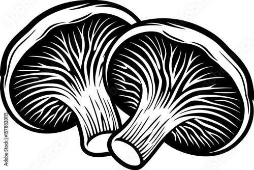 Two mushrooms isolated on white background