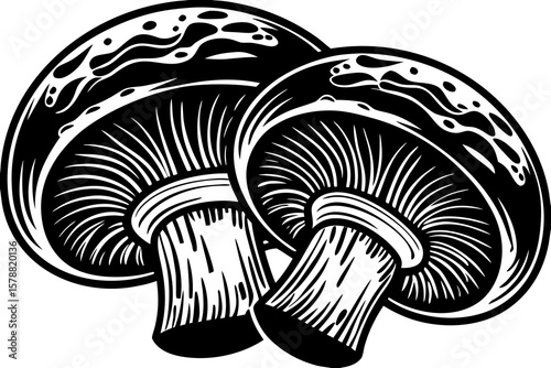 A pair of mushrooms isolated on white background