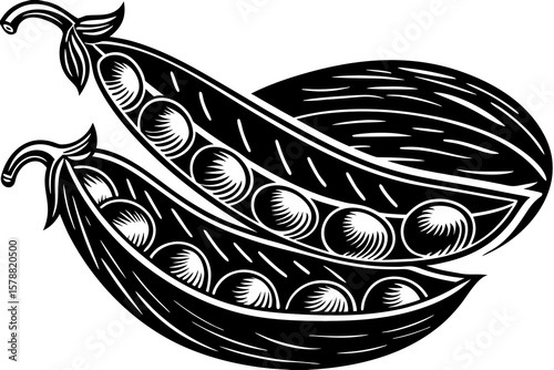 Two pea pods with peas are isolated on white background