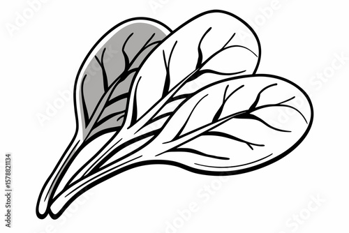 Illustration of three spinach leaves for a healthy meal