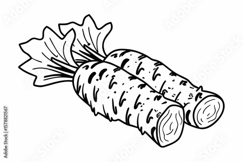 Two wasabi roots isolated on white background