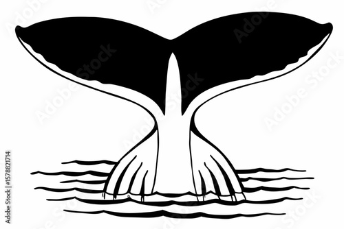 A black and white whale tail diving into the water illustration