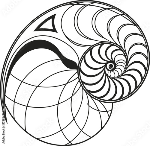 Abstract blue spiral swirl pattern design with fractal nautilus shell and curve elements
