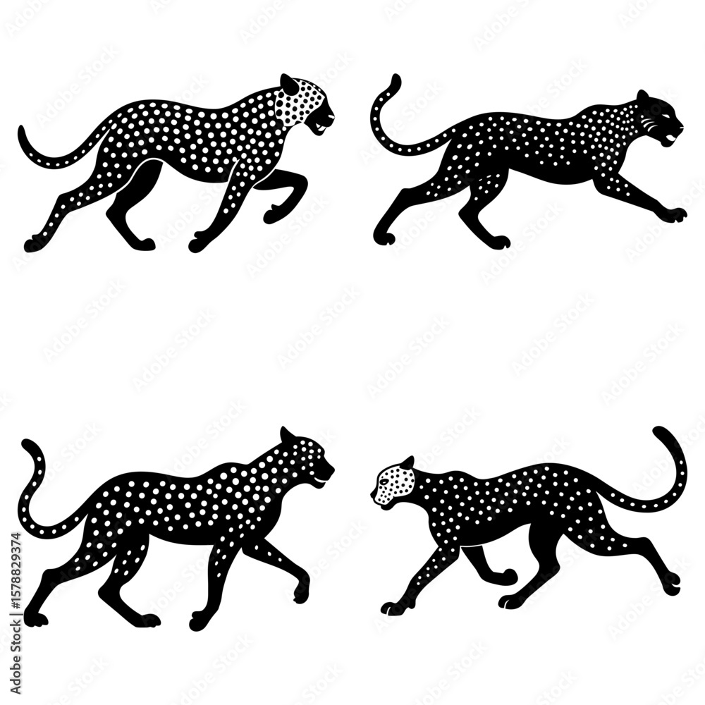 Obraz premium Four black leopards with white spots in various poses on a white background are depicted here clearly
