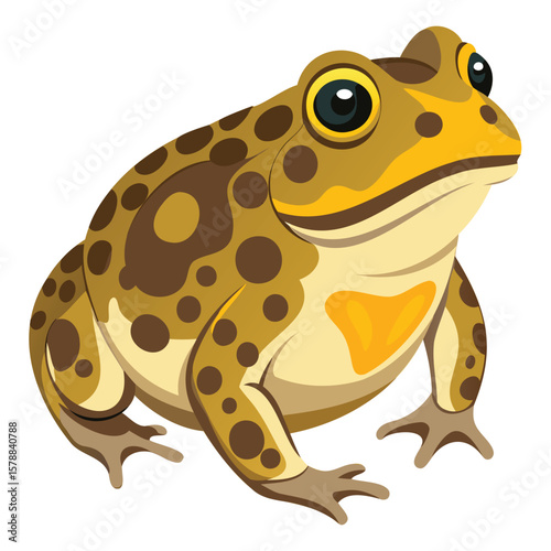 Cute Midwife Toad Graphics