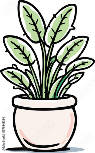 Illustration of a green leafy plant potted in a simple round pink planter for decoration.
