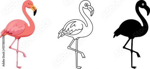 Flamingo illustration set pink flamingo coloring page flamingo silhouette vector graphic design art