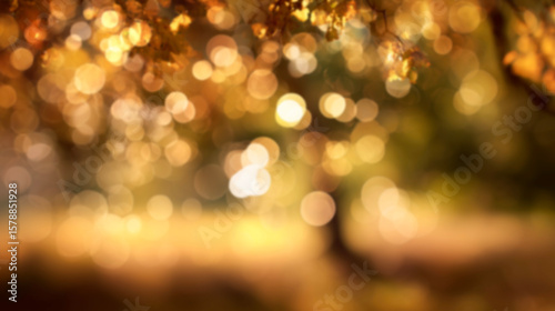 秋の木漏れ日とボケが織りなす温かみのあるナチュラル背景