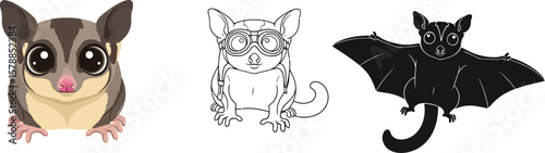 Sugar glider illustration set cute animal design vector art for kids coloring book and print design