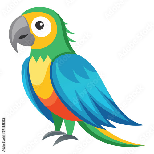Macaw Parrot Graphics