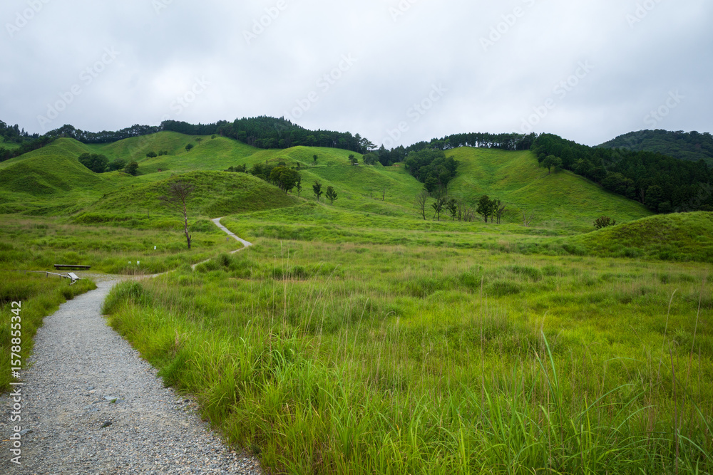Naklejka premium 日本の兵庫県神河町の砥峰高原の美しい夏の風景