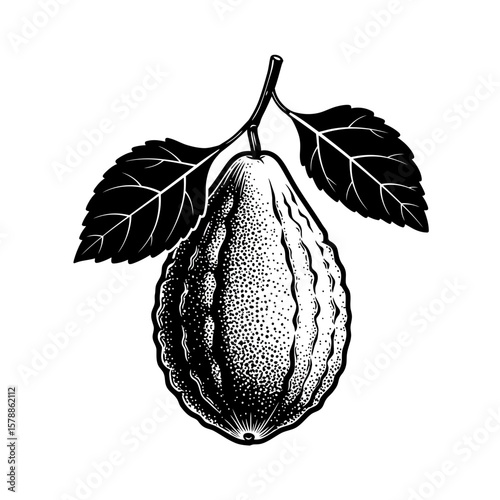 An etrog fruit with leaves is isolated on white background