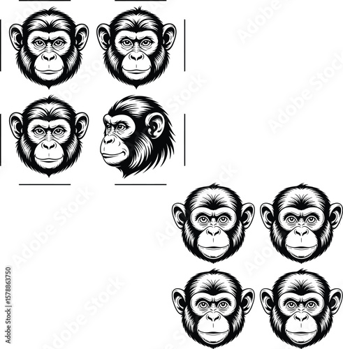 Chimpanzee primate animal faces black and white head