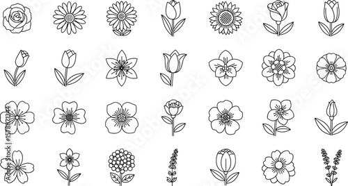 Flowers line icon set. Vector pictograms of magnolia, dandelion, crocus, calla lily, various flower species - azalea, anemone, bird paradise, thin linear 