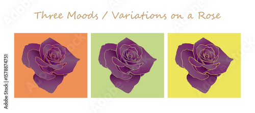 Three Moods / Variations on a Rose