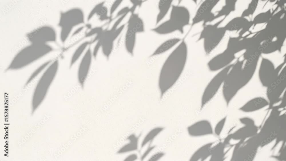 Shadow play of leaves on a stucco wall