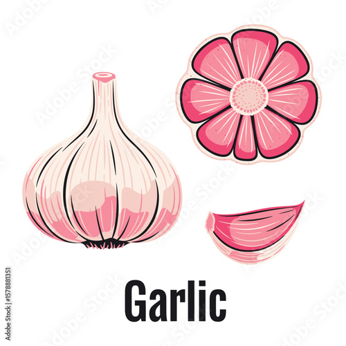 Garlic love illustration. Garlic artwork for t shirt print, poster, sticker and other uses.