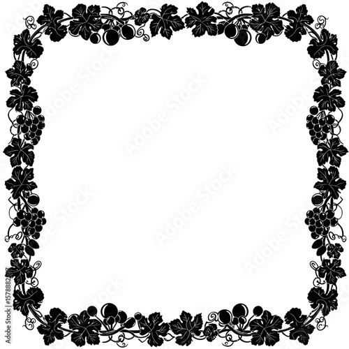 Elegant grape vine frame with leaves and grapes isolated on white background
