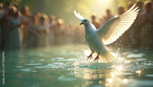 White dove spreads wings above water surface. Peace, purity, new beginnings, baptism. Religious ceremony, spiritual concept. People in background. Christian faith, divine grace, holy spirit. Hope,