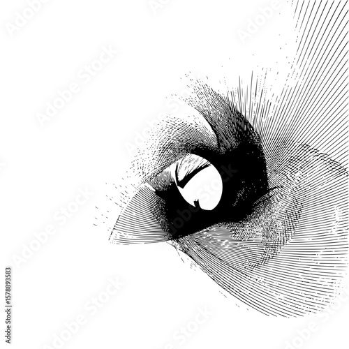 Abstract black and white vortex pattern with radiating lines and a central open space design element