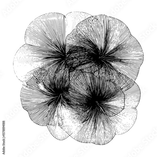 Abstract floral arrangement with radiating lines and overlapping petals creating a dense pattern