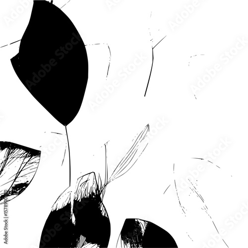 Abstract monochrome rendering of plant leaves with a stark contrast between black and white tones