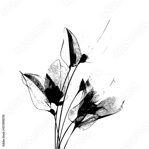 Elegant floral arrangement featuring delicate petals and stems in a monochrome artistic style design art
