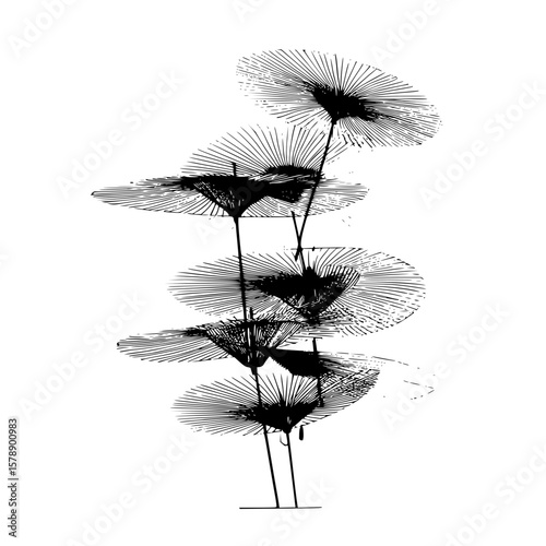 Monochrome illustration of abstract floral arrangements with radial petal patterns and thin stems design