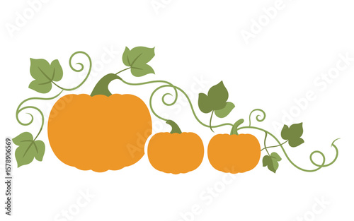 Three Pumpkins on Vine with Leaves Autumn Harvest Thanksgiving Decoration.
