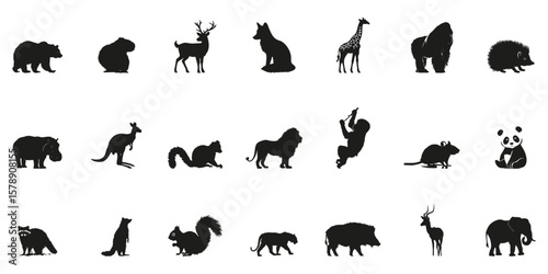 Wild Animal Silhouettes In Solid Icon Set. Wildlife Observation And Nature Preservation Symbol Collection. Environmental And Educational Use. Isolated Vector Illustration