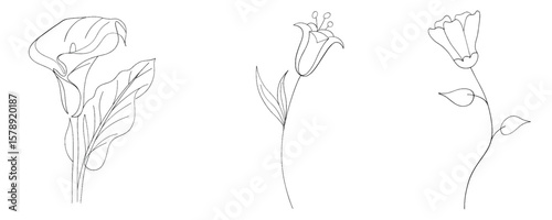 Minimalist Wildflower Line Art – Abstract Floral Illustrations in Continuous Drawing Style