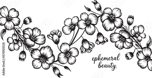 Elegant black and white floral vector design with ephemeral beauty text
