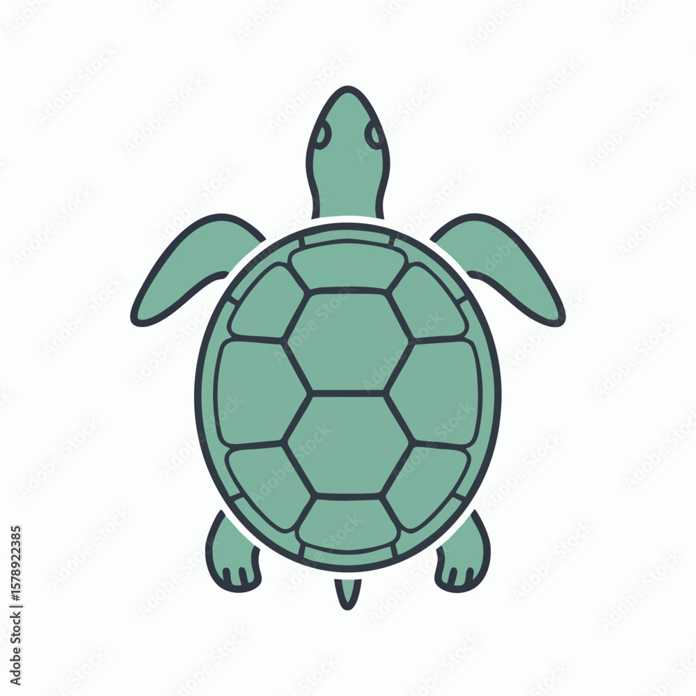 Fototapeta premium Turtle Top View