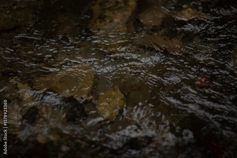 Fototapeta premium A Tranquil Stream Accompanied by Rippling Water and Various Natural Elements Surrounding It